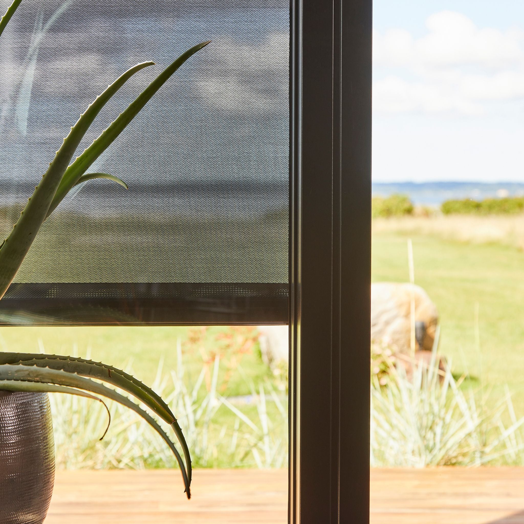Outdoor Screens